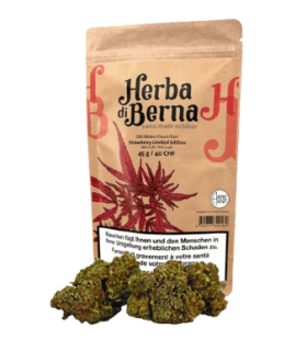 Herba di Berna Strawberry CBD Flower Outdoor 1