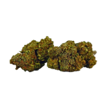 Herba di Berna Strawberry CBD Flower Outdoor 2