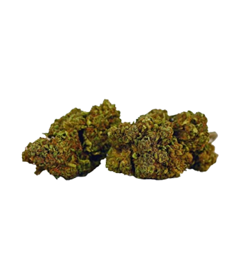Herba di Berna Strawberry CBD Flower Outdoor 2