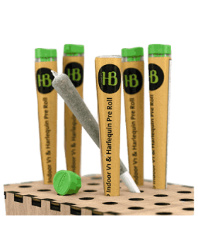 Herba di Berna V1 + Harlequin Trim Pre-Roll CBD Joint Indoor 1