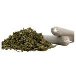 Herba di Berna V1 + Harlequin Trim Pre-Rolls CBD Joints Indoor – image 2
