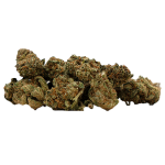 Herba di Berna V1 + Harlequin Trim Pre-Rolls CBD Joints Indoor – image 3