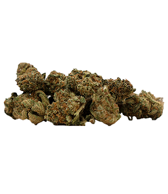 Herba di Berna V1 + Harlequin Trim Pre-Rolls Joints CBD Indoor – photo 3