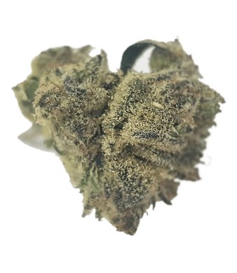 Monjoint La Gioia Fleurs de CBD Indoor – photo 2