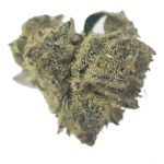 La Monella CBD Flowers Indoor