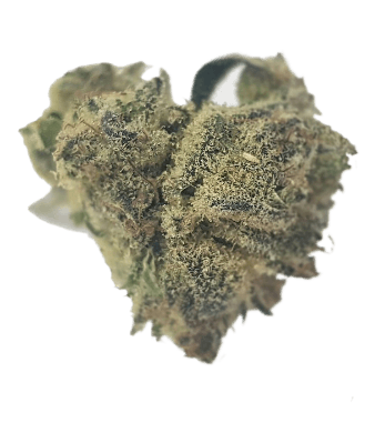 Mon Joint La Monella CBD Flower Indoor 2