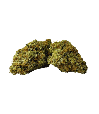 Paradise Weeds Critical Dr Müller CBD Blüten Indoor – Bild 2