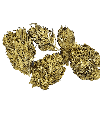 Pirate Fleurs de CBD Outdoor