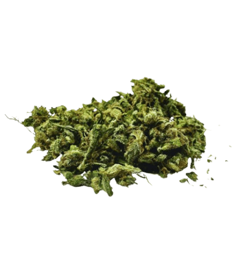 Paradise Weeds Trim-X CBD Trim Indoor – Bild 2