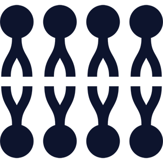 Un pictogramme representant des lipides