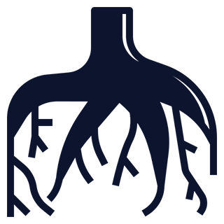 Un pictogramme representant une racine de chanvre