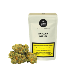 Qualicann Banana Diesel CBD Flower Indoor 1