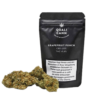 Qualicann Grapefruit Punch CBD Flower Indoor 1