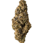 Purple Lemon CBD Flowers Indoor