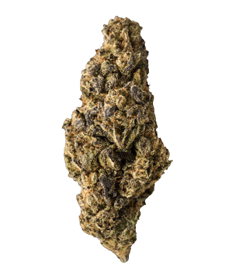 Purple Lemon CBD Flowers Indoor
