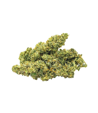 Qualicann Sweet Star CBD Blüten Indoor – Bild 2