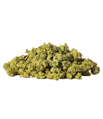 Slow Weed Plutonium Minibuds Small CBD Buds Outdoor 2