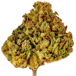 Slow Weed Durban Poison Fleurs de CBD Greenhouse – photo 2