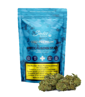 Swiss Botanic Critical Sensi Star CBD Flower Indoor 1