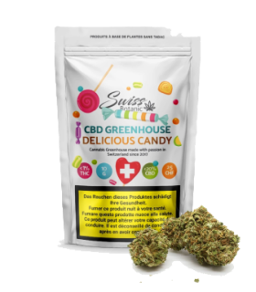 Swiss Botanic Delicious Candy CBD Flower Greenhouse 1