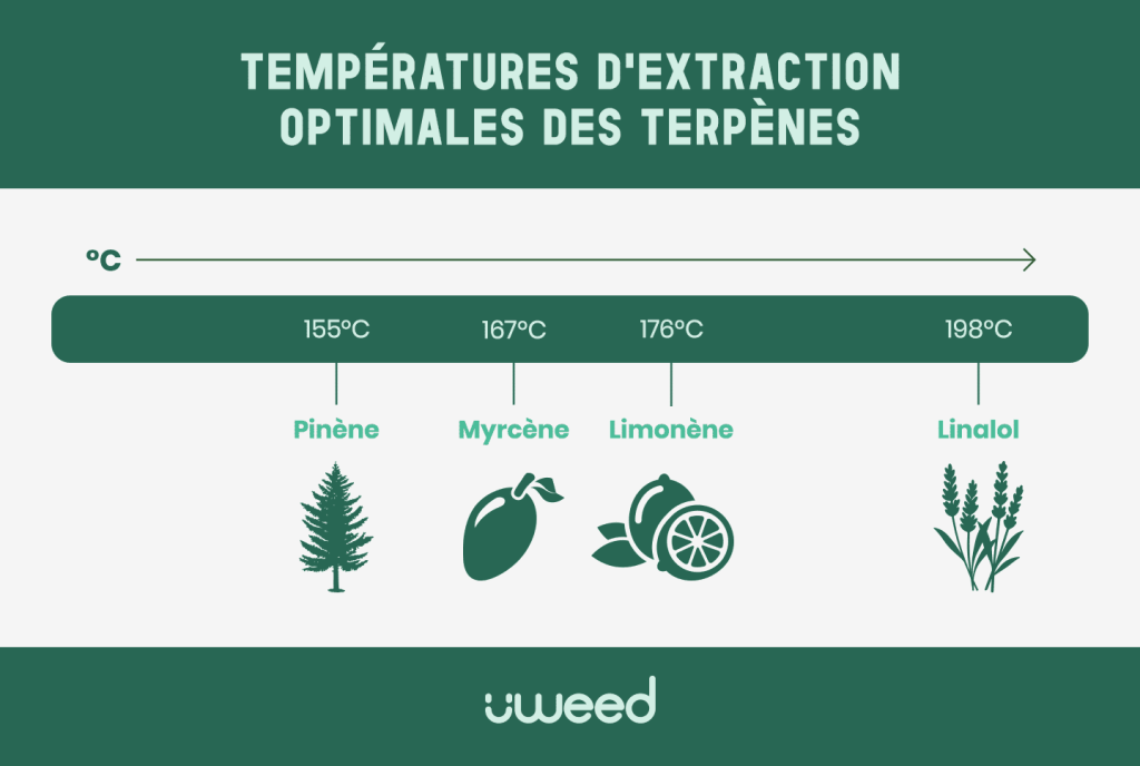 Graphique des températures d'extraction optimales des principaux terpènes du cannabis CBD pour vaporisation contrôlée