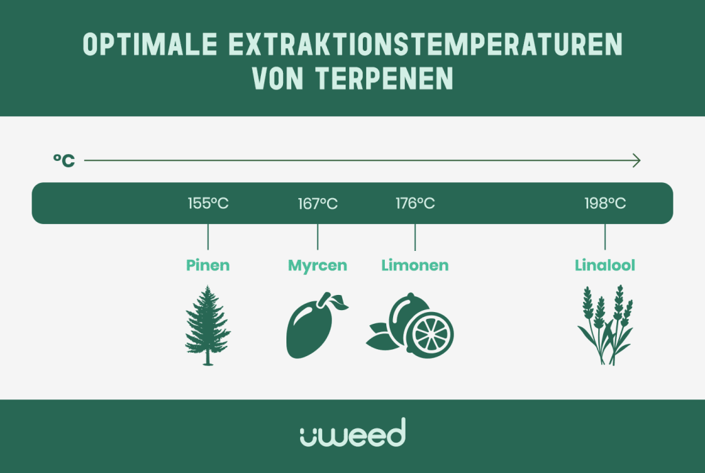 Grafik mit optimalen Temperaturen für CBD-Terpen-Verdampfung