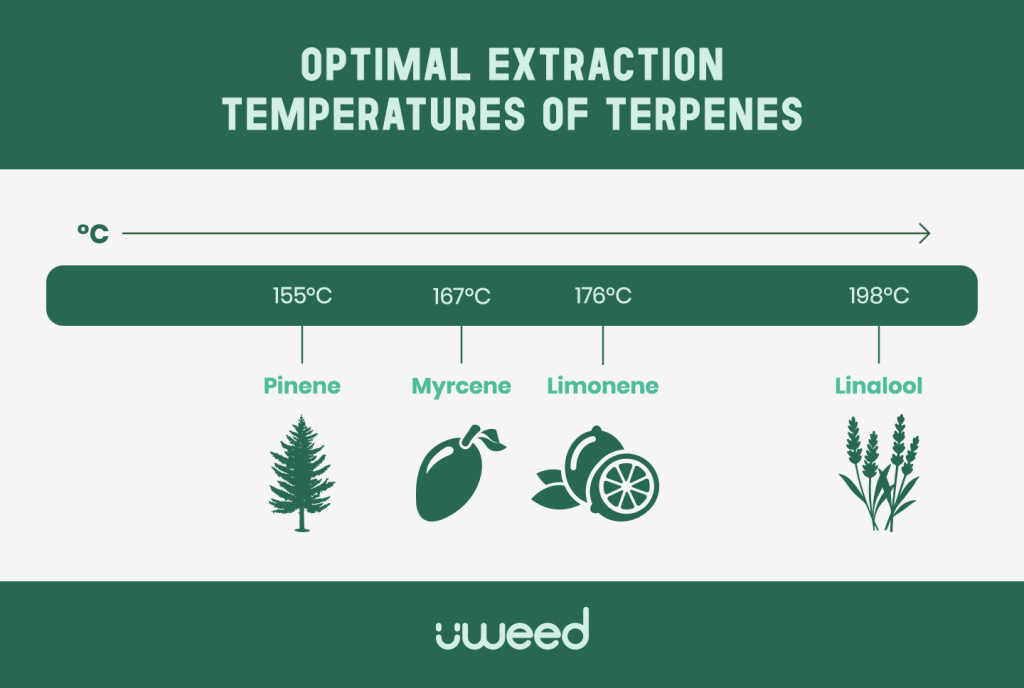 Temperature chart for optimal extraction of major CBD cannabis terpenes