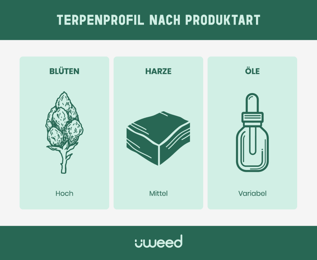Vergleich der Terpenkonzentration in CBD-Blüten, Hasch und Ölen