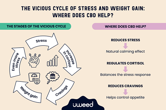 Infographic showing how CBD can break the cycle of stress and weight gain
