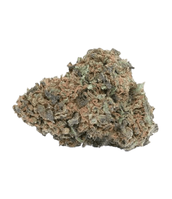 B-Chill Black Skunk Fleurs de CBD Greenhouse – photo 2