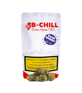 B-Chill Blueberry CBD Flower Greenhouse 1