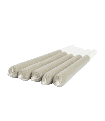 B-Chill Blueberry Pre-Rolls CBD Joints Greenhouse – Bild 2