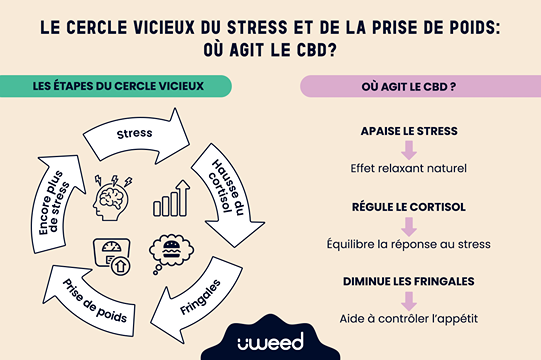 Infographie illustrant le cercle vicieux du stress et de la prise de poids, et l’impact du CBD pour briser ce cycle.