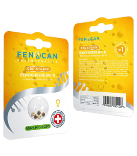 Fenocan Fenocheese CBD Seeds 1