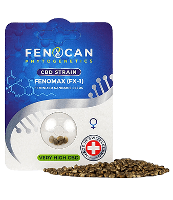Fenocan Fenomax CBD Seeds Feminized – image 2