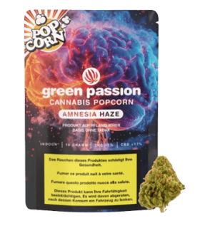 Green Passion Amnesia Popcorn Small CBD Buds Indoor 1