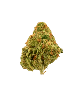 Green Passion Amnesia Popcorn Small CBD Buds Indoor – Bild 2