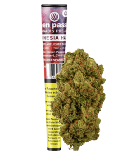Green Passion Amnesia Haze Pre-Roll CBD Joint Indoor 1