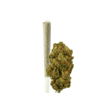 Green Passion Amnesia Haze Pre-Rolled CBD Joint Indoor – image 2