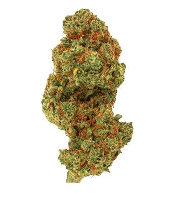 Green Passion Fruit Punch CBD Blüten Indoor – Bild 2