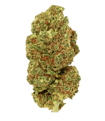 Green Passion Lemon Skunk CBD Blüten Indoor – Bild 2