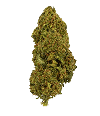 Green Passion Passion Haze CBD Blüten Greenhouse – Bild 2