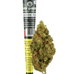 Green Passion Passion Kush Pre-Rolled CBD Joint Indoor