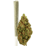 Green Passion Passion Kush Pre-Rolled CBD Joint Indoor – image 2