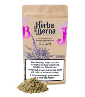 Herba di Berna Purple Punch Handtrim CBD Trim Indoor 1