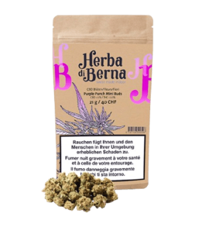 Herba di Berna Purple Punch Minibuds Small CBD Buds Indoor 1