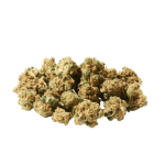 Herba di Berna Purple Punch Minibuds Small CBD Buds Indoor – Bild 2