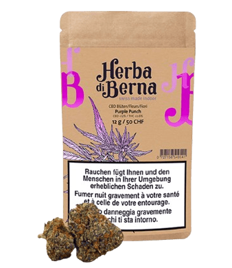 Herba di Berna Purple Punch CBD Blüten Indoor – Bild 2