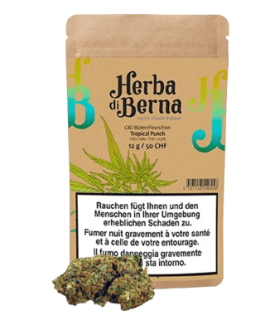 Herba di Berna Tropical Punch CBD Flower Indoor 1