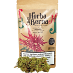 Herba di Berna Watermelon CBD Blüten Outdoor